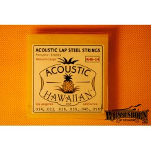 Asher Acoustic Lap Steel Strings